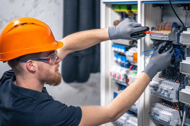 Best Electrical System Inspection  in Long Grove, IA